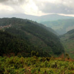 foto-4