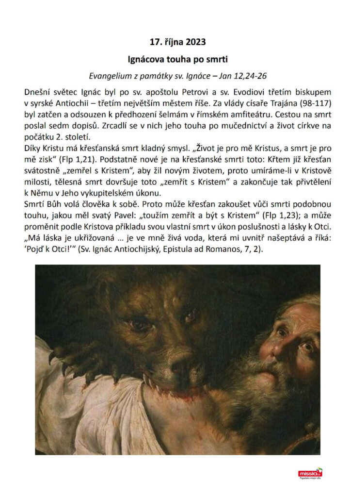 foto-7